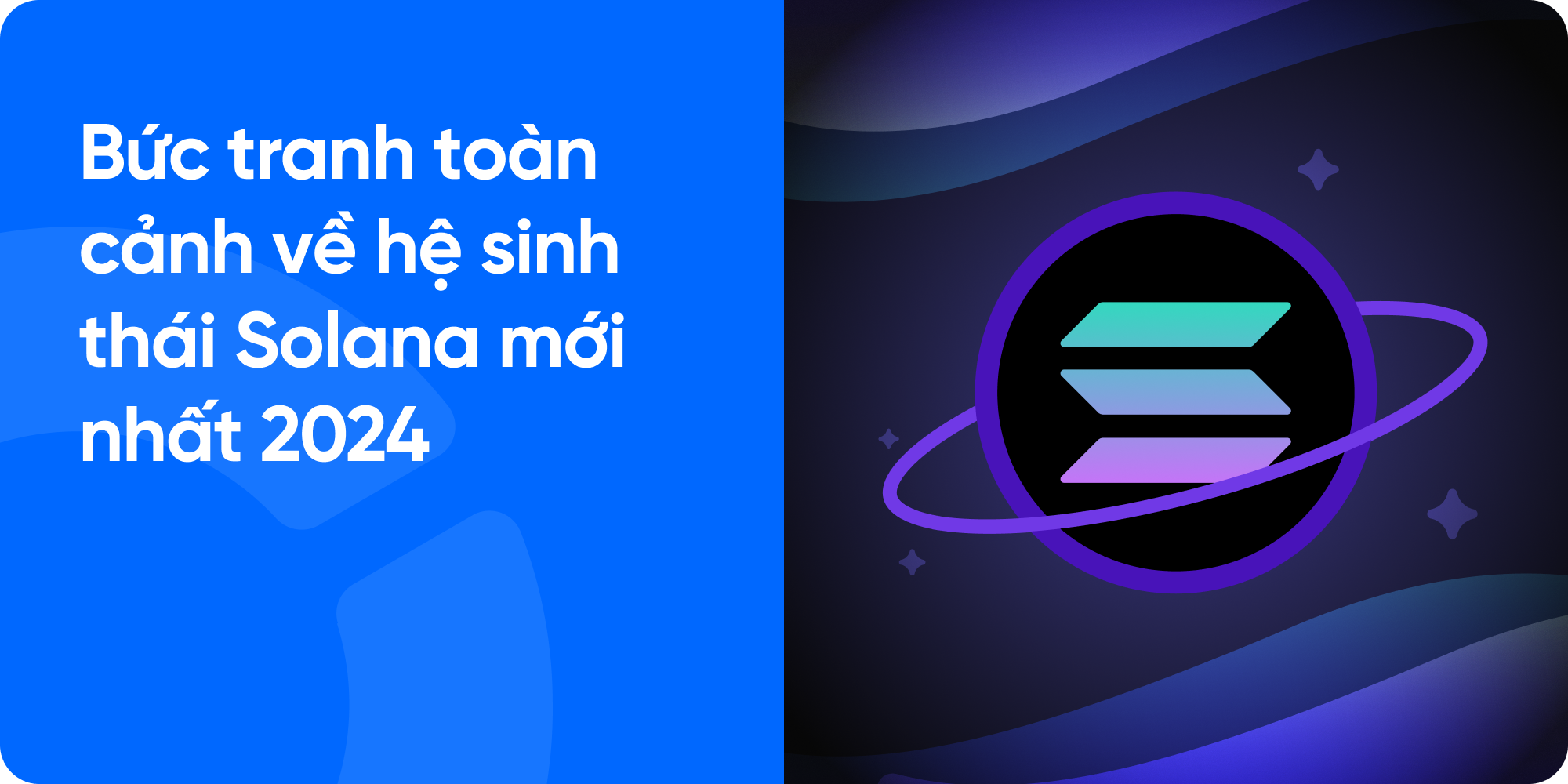 Bức tranh toàn cảnh về hệ sinh thái Solana mới nhất 2024