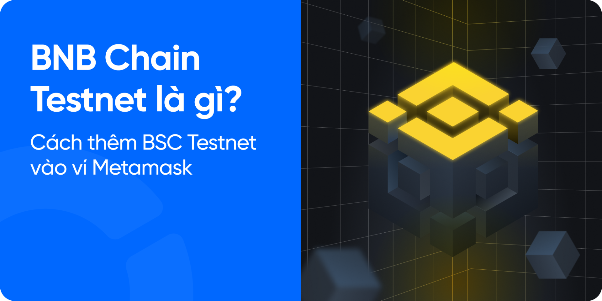 BNB Chain Testnet là gì? Cách thêm BNB Testnet vào ví Metamask