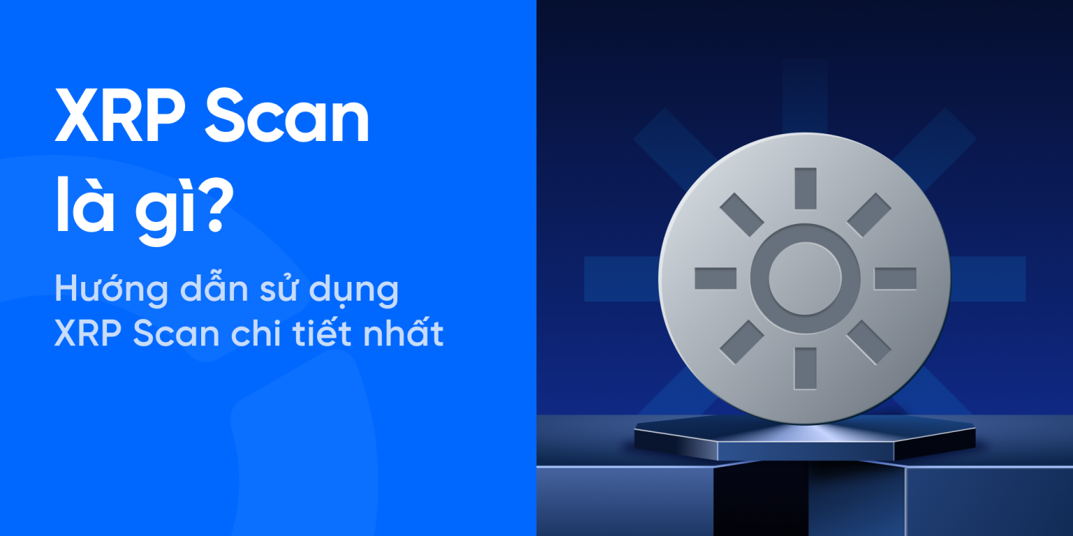 XRP Scan là gì? Hướng dẫn sử dụng XRP Scan chi tiết nhất