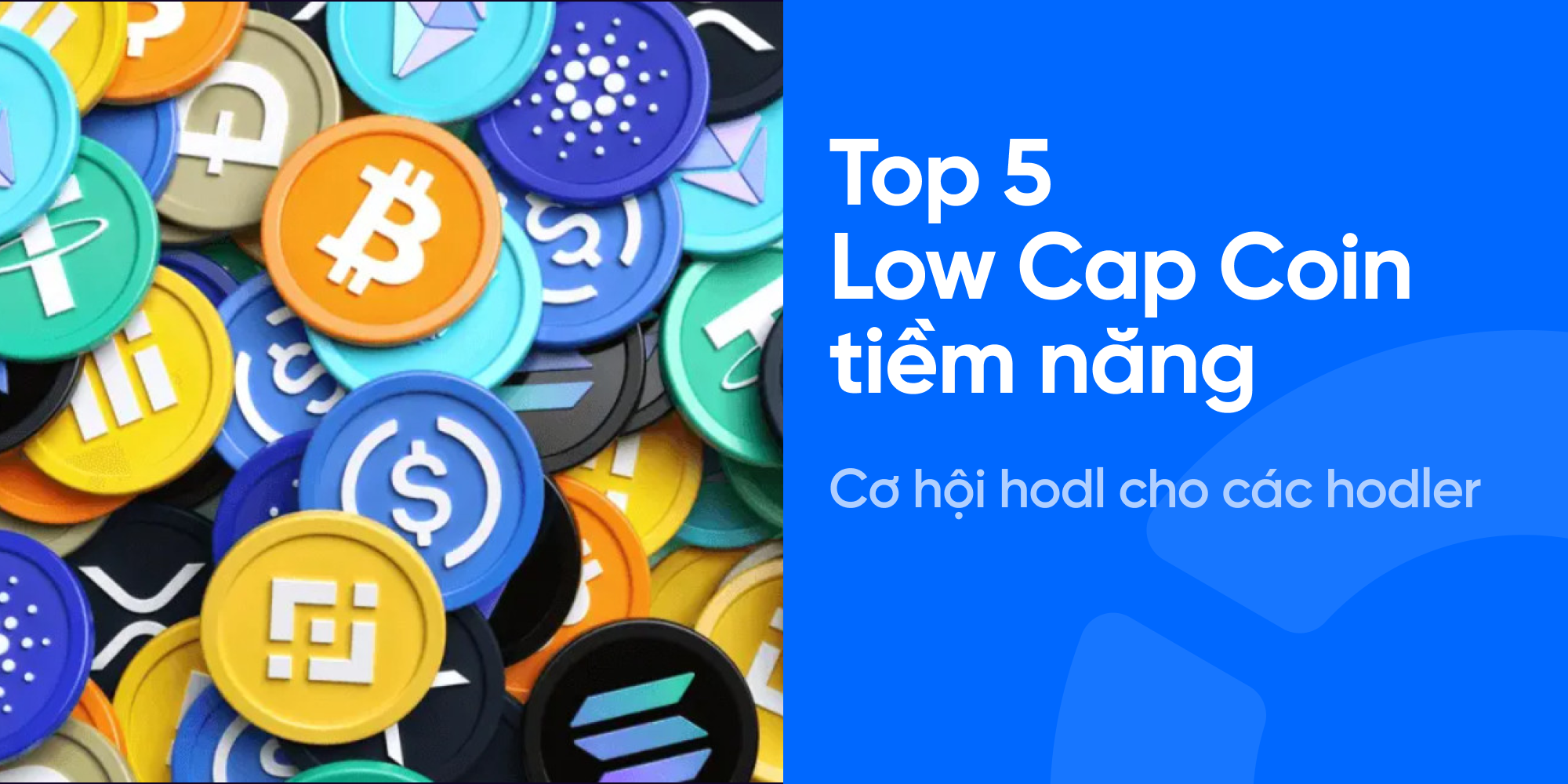 Top 5 Low Cap Coin tiềm năng - cơ hội hodl cho các hodler