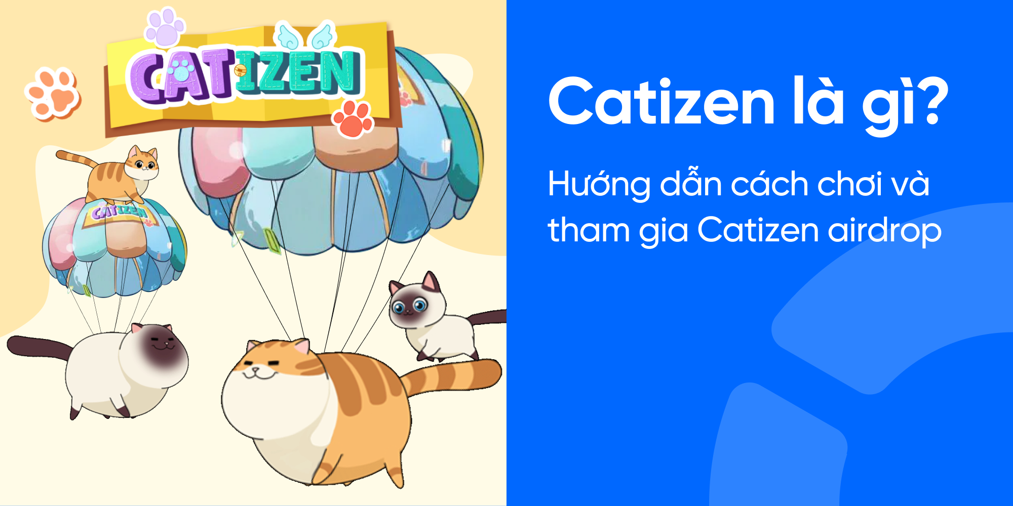 Catizen là gì? Hướng dẫn cách chơi và tham gia Catizen airdrop