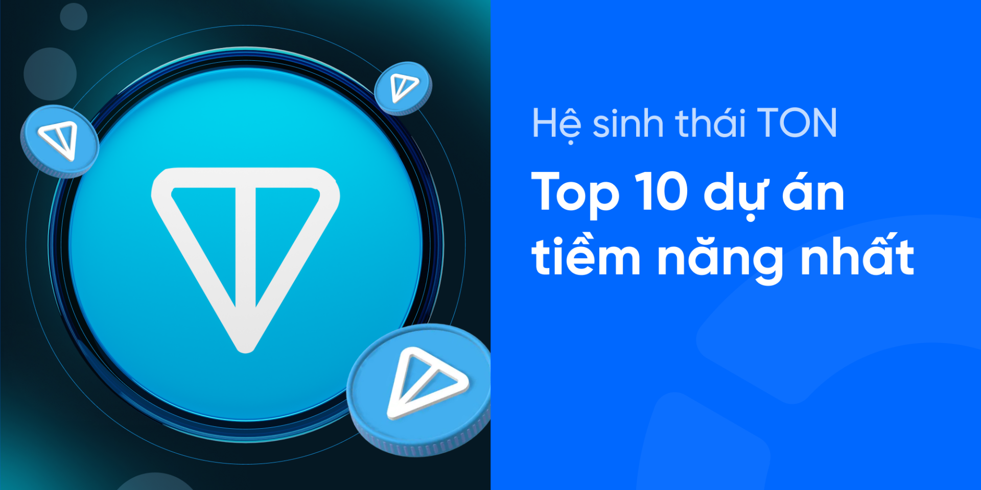 Hệ sinh thái TON: Top 10 dự án tiềm năng nhất 2026