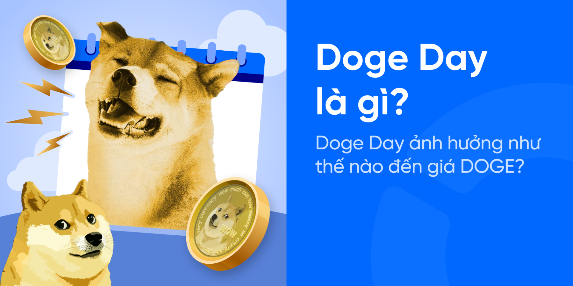 Doge Day là gì? Doge Day ảnh hưởng như thế nào đến giá DOGE?