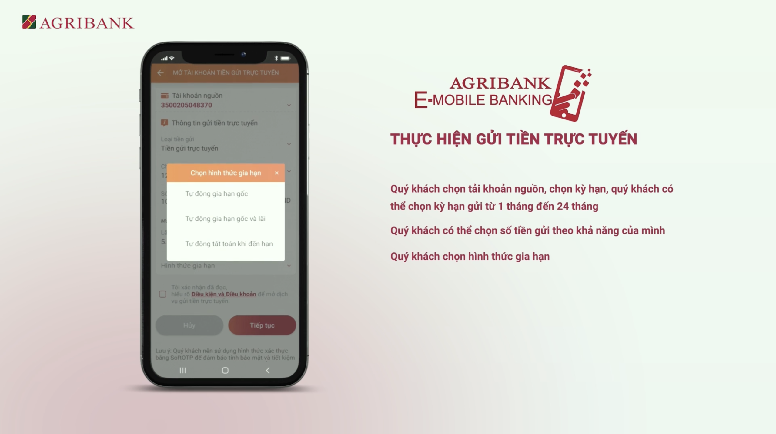 Bấm chọn hình thức Tự động gia hạn gốc và lãi