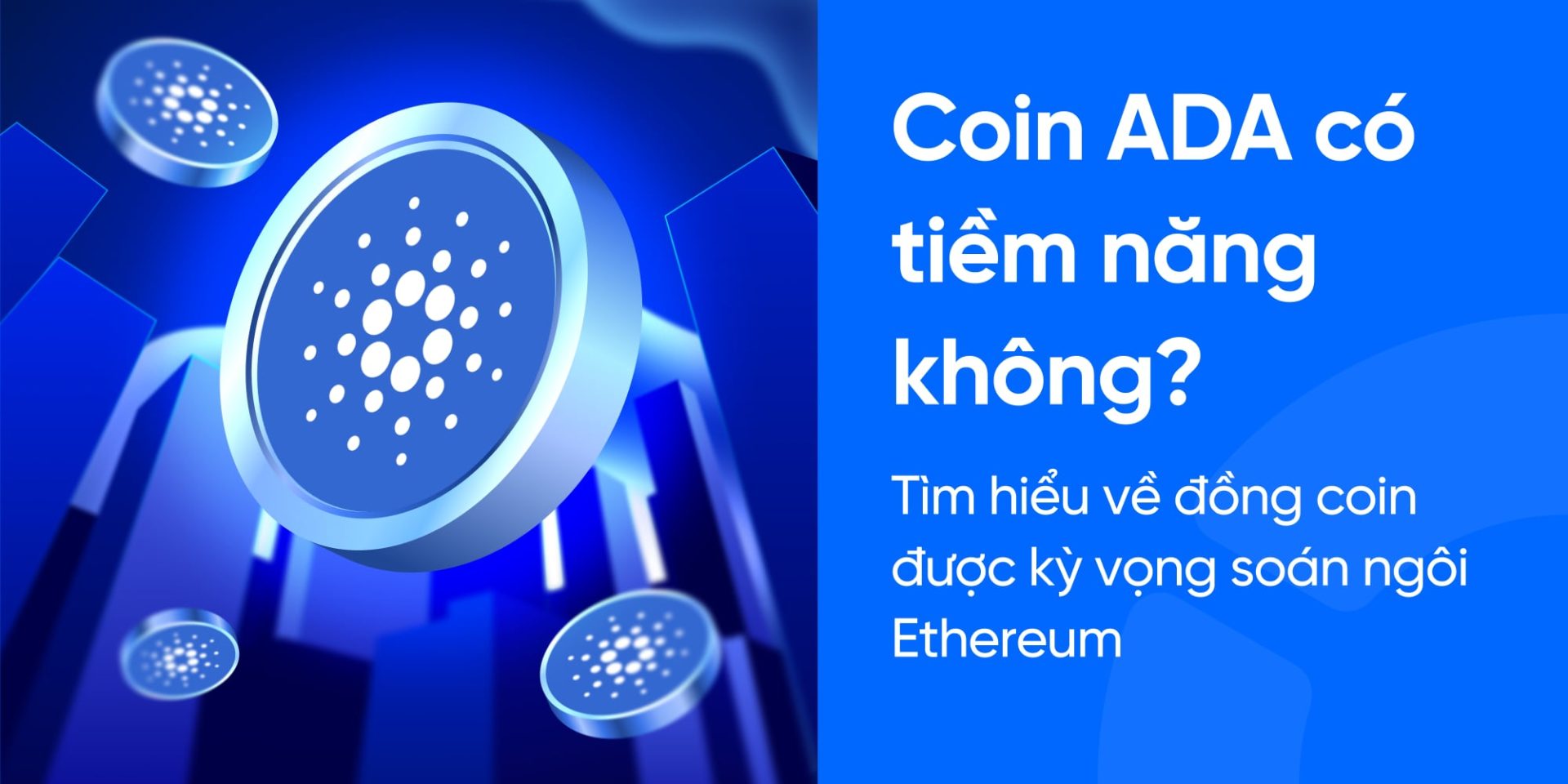 Coin ADA có tiềm năng không? Tìm hiểu về đồng coin được kỳ vọng soán ngôi  Ethereum
