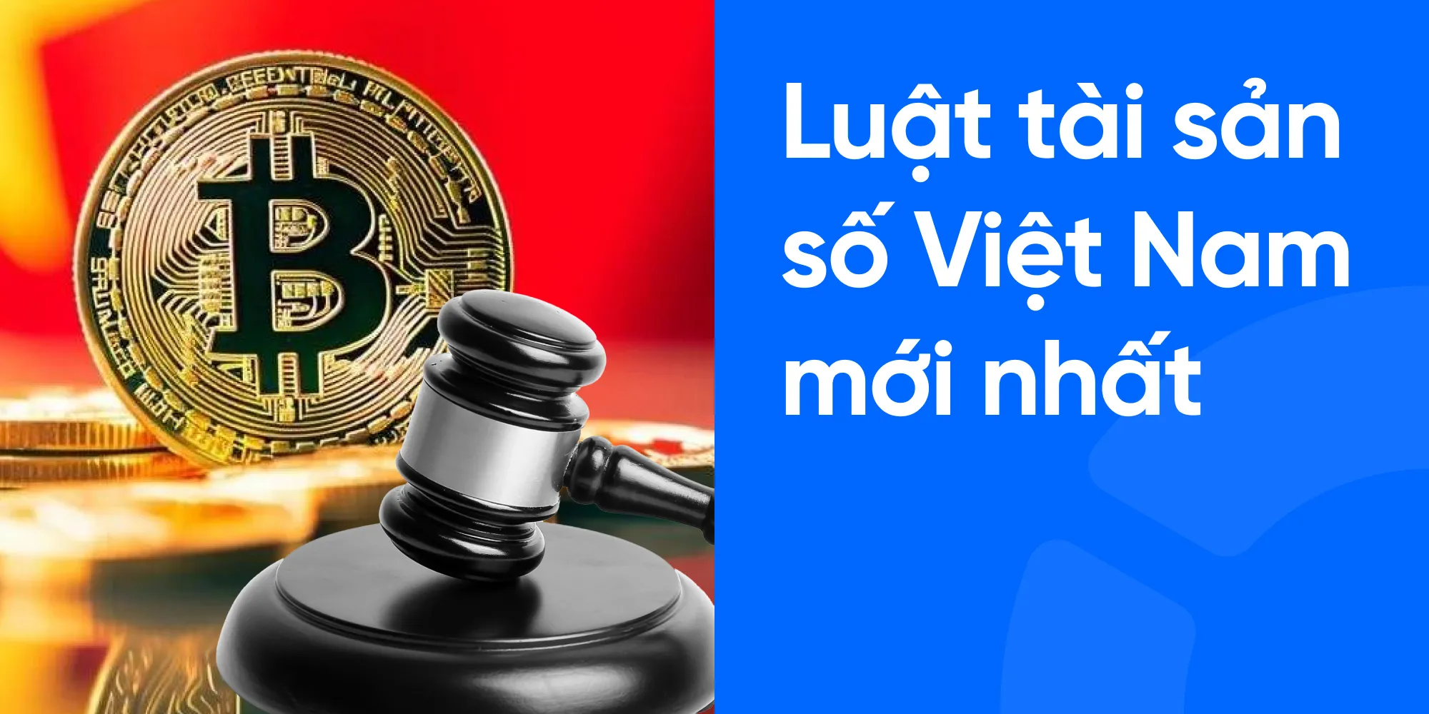 luật tài sản số việt nam