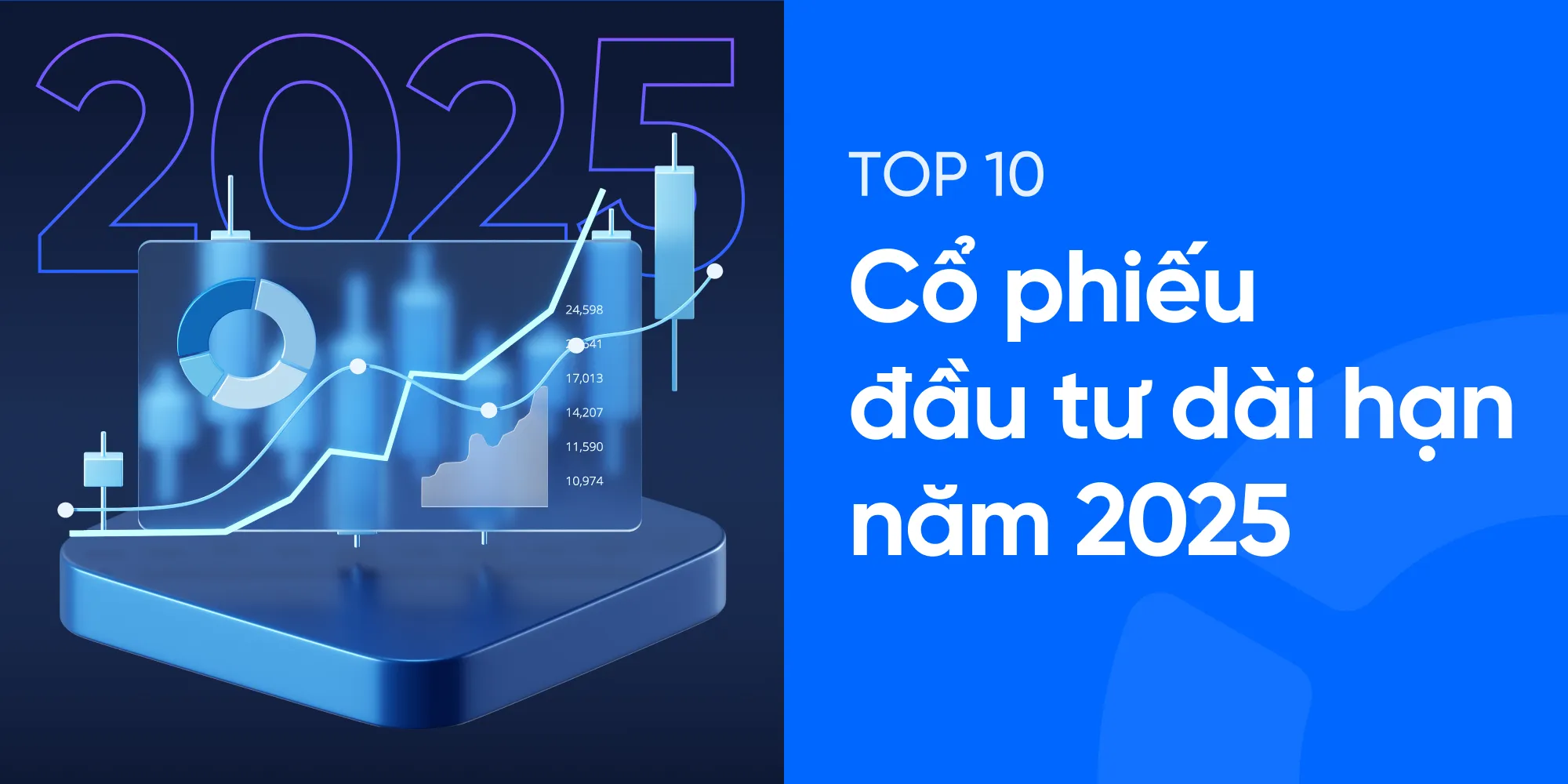 Top 10 cổ phiếu đầu tư dài hạn 2025