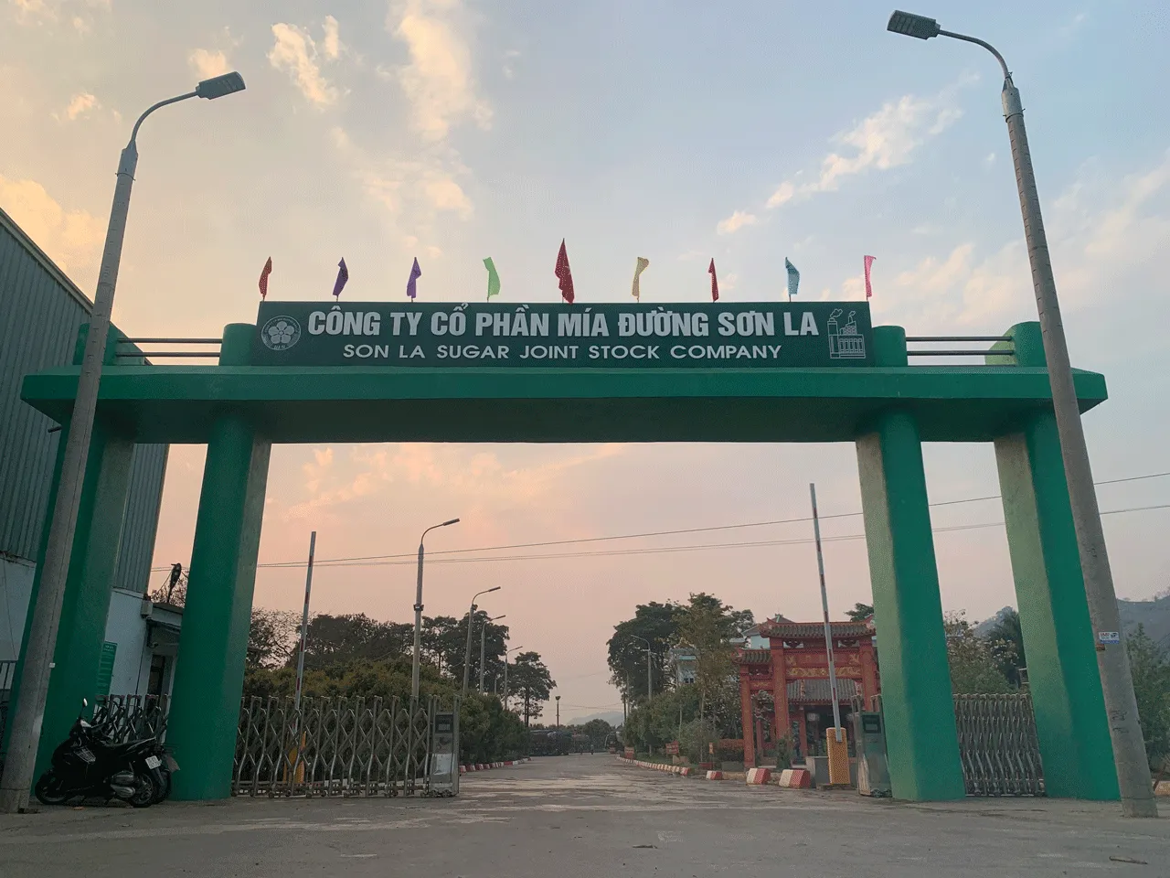 SLS - ctcp mía đường sơn la - cổ phiếu trả cổ tức đều đặn