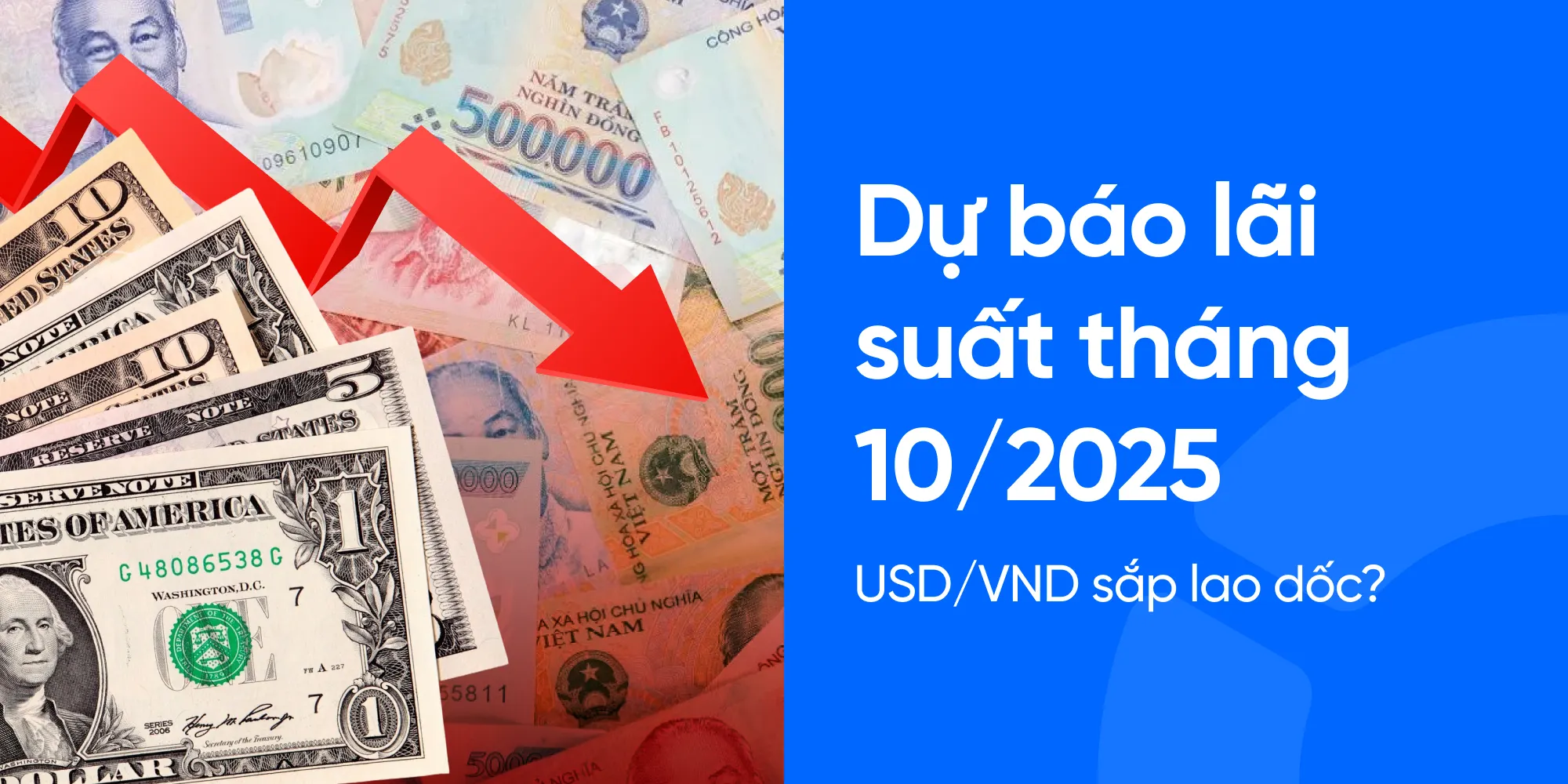 Dự báo tỷ giá tháng 10/2025: USD/VND sắp lao dốc?