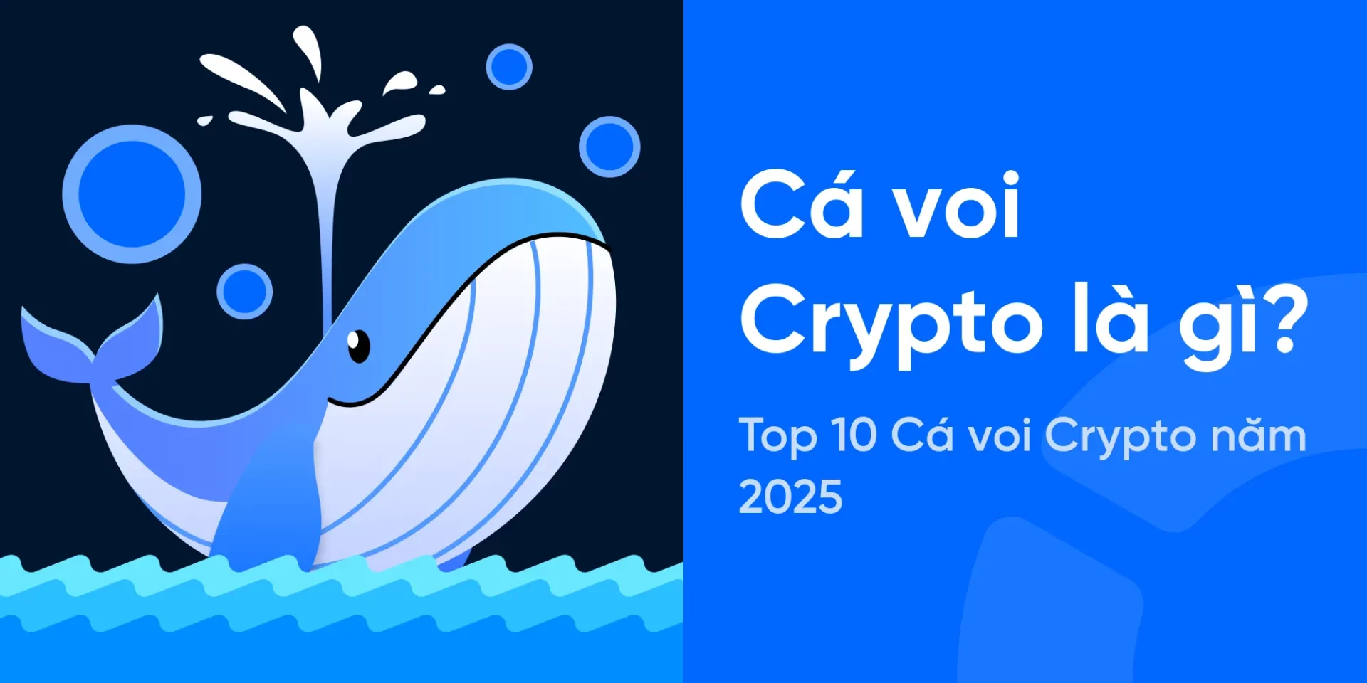 Cá Voi Crypto là gì? Top 10 Cá voi Crypto năm 2025